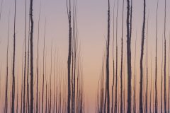 P1210020